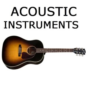 Acoustic Guitars