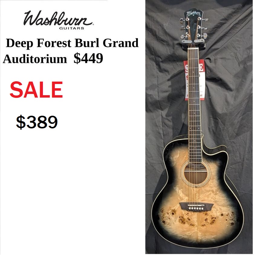 WASHBURN BURL S