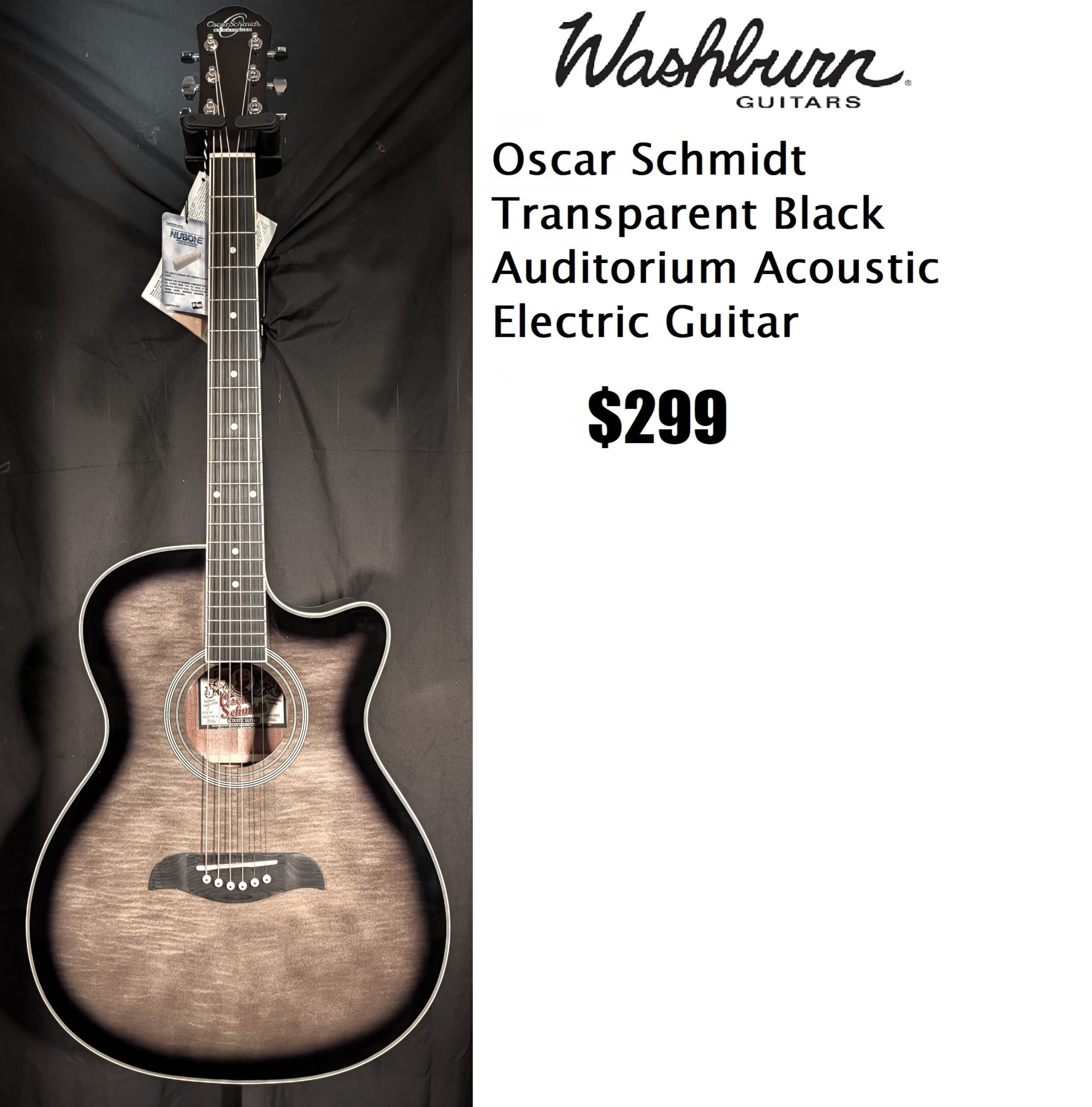 washburn bl