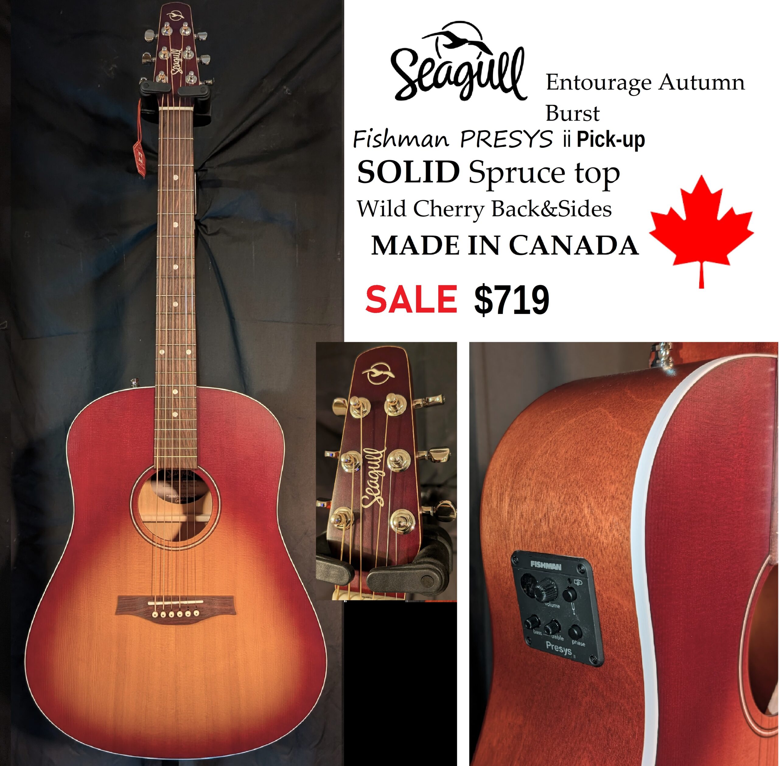 Entorage seagull pu dread