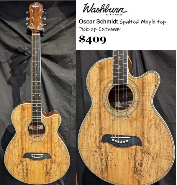 Washburn Accountic Guitar