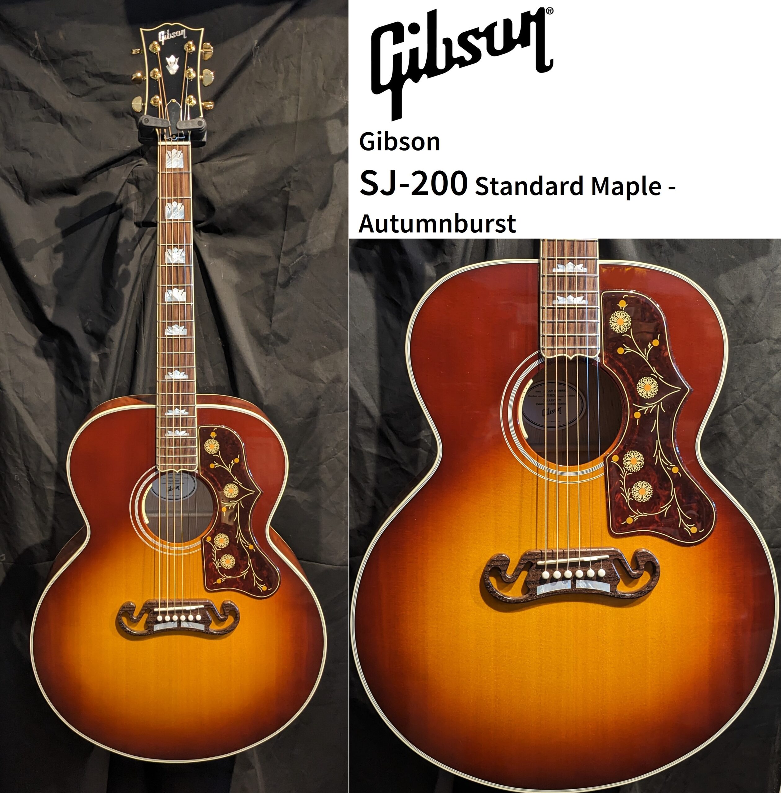 Gibson SJ-200 Standard Maple – Autumnburst – Murphy's Music